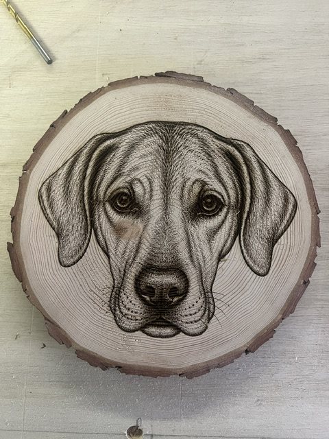 Dog portrait engraved on a live-edge wood slice