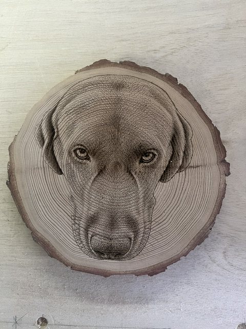 Second dog portrait engraved on a live-edge wood slice